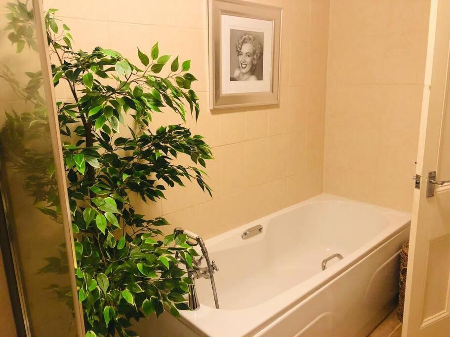 Ilkley Garden Suite Экстерьер фото